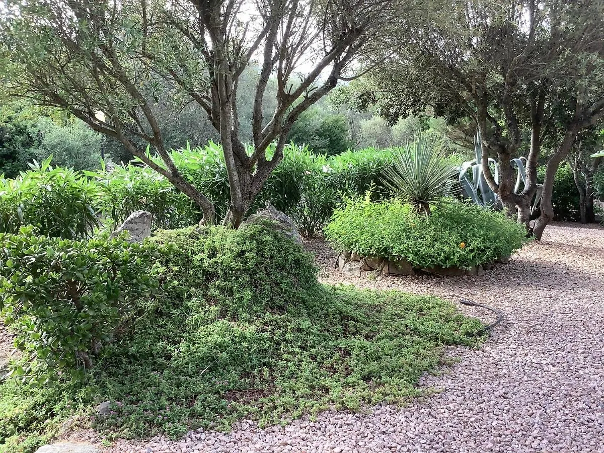 Domo A Palattu Casa Vista Mare A Porto Rotondo Villa Rudalza Italy